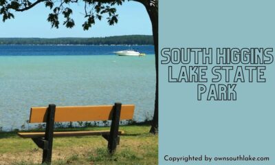 south higgins lake state park